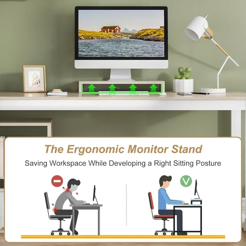 Computer Desk with Storage Shelves